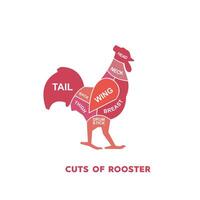 vector illustration guide Meat cuts set. chicken Butcher Poster diagrams and schematics.