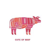 vector illustration guide Meat cuts set. beef Butcher Poster diagrams and schematics.