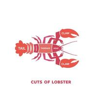 vector illustration guide Meat cuts set. lobster Butcher Poster diagrams and schematics.