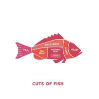 vector illustration guide Meat cuts set. fish Butcher Poster diagrams and schematics.