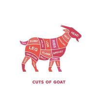 vector illustration guide Meat cuts set. goat Butcher Poster diagrams and schematics.