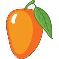 Mango isolated on white background cartoon style vector illustration