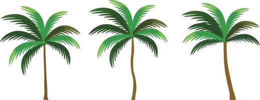 Coconut tree isolated on white background realistic vector illustration