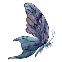 mano dibujado acuarela ilustración mariposa hada alas joya cristal insecto polilla. amatista charoita fluorita ametrina. soltero objeto aislado en blanco antecedentes. diseño imprimir, comercio, boda, cumpleaños vector