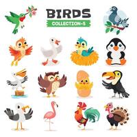 conjunto de varios dibujos animados aves vector