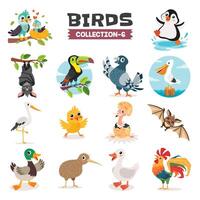 conjunto de varios dibujos animados aves vector