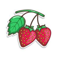 hand draw strawberry fruit illustration art vector