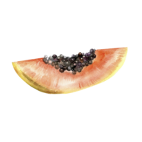 Aquarell tropisch Papaya Illustration. Sommer- saftig Sommer- Obst Scheibe mit schwarz Saat , Element zum Etikett, Verpackung, Produkt Design png