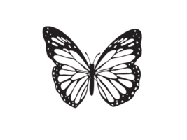 Black shillouet butterfly isolated on transparent background png