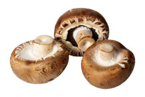 AI generated The mushroom is isolated on a transparent background. Mushroom PNG Generative AI