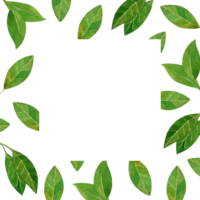 vattenfärg illustration. fyrkant ram med grön löv på en transparent bakgrund. Allt element är handmålad med vattenfärger. lämplig för design, kök dekoration, maträtter, textilier png