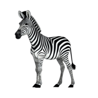 Zebra animal cartoon png