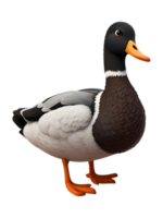 ein Ente ist Stehen auf ein transparent Hintergrund png