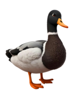 une canard est permanent sur une transparent Contexte png