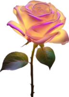 AI generated Glowing roses, Close-up image of Glowing roses flower. png