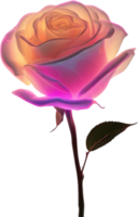 AI generated Glowing roses, Close-up image of Glowing roses flower. png