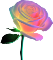 AI generated Glowing roses, Close-up image of Glowing roses flower. png