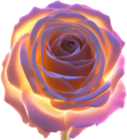 AI generated Glowing roses, Close-up image of Glowing roses flower. png