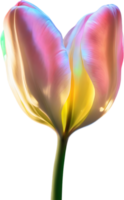 AI generated Glowing Tulip, Close-up image of Glowing tulip flower. png