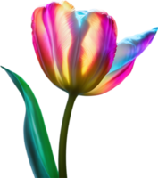 AI generated Glowing Tulip, Close-up image of Glowing tulip flower. png