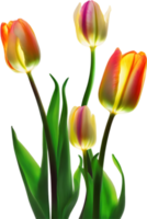 ai gerado brilhando tulipa, fechar-se imagem do brilhando tulipa flor. png
