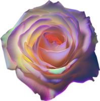 ai gegenereerd gloeiend rozen, detailopname beeld van gloeiend rozen bloem. png