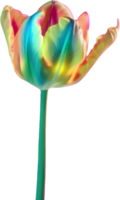 ai gerado brilhando tulipa, fechar-se imagem do brilhando tulipa flor. png