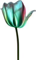 AI generated Glowing Tulip, Close-up image of Glowing tulip flower. png