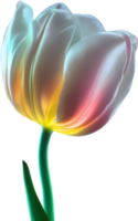 ai gerado brilhando tulipa, fechar-se imagem do brilhando tulipa flor. png