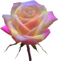 AI generated Glowing roses, Close-up image of Glowing roses flower. png