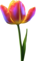 AI generated Glowing Tulip, Close-up image of Glowing tulip flower. png