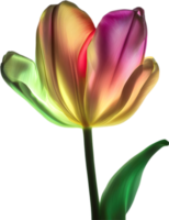 AI generated Glowing Tulip, Close-up image of Glowing tulip flower. png