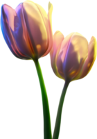 AI generated Glowing Tulip, Close-up image of Glowing tulip flower. png