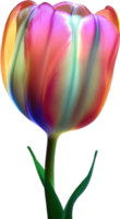 AI generated Glowing Tulip, Close-up image of Glowing tulip flower. png