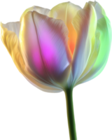 ai gerado brilhando tulipa, fechar-se imagem do brilhando tulipa flor. png