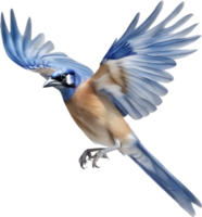 AI generated Watercolor of a Blue Jay bird clipart. png