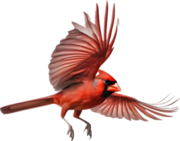 ai généré aquarelle de une nord cardinal oiseau clipart. png