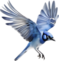 ai généré aquarelle de une bleu geai oiseau clipart. png