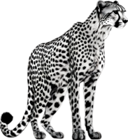 AI generated Close-up painting of a cheetah. png