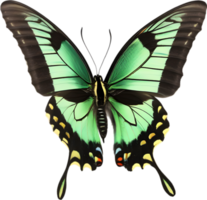 AI generated Colorful and elegant butterfly image. png