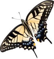 AI generated Colorful and elegant butterfly image. png