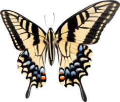 AI generated Colorful and elegant butterfly image. png