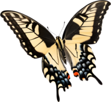 AI generated Colorful and elegant butterfly image. png