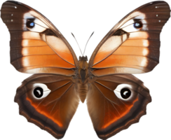 ai generado vistoso y elegante mariposa imagen. png