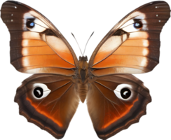 AI generated Colorful and elegant butterfly image. png