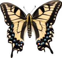 AI generated Colorful and elegant butterfly image. png