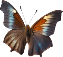 ai gegenereerd kleurrijk en elegant vlinder afbeelding. png
