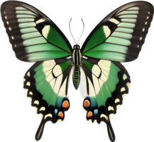 AI generated Colorful and elegant butterfly image. png