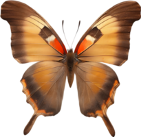 AI generated Colorful and elegant butterfly image. png