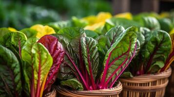 AI generated Charming display of assorted Swiss chard in vibrant baskets photo